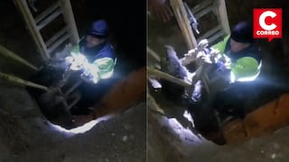Huancayo: serenos rescatan a perro que cayó a zanja de cinco metros