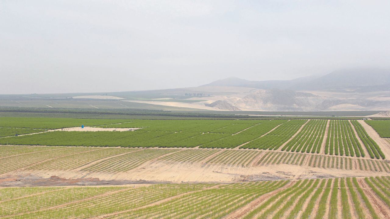 Decisión sienta precedente en litigio de tierras que reclama Chavimochic.