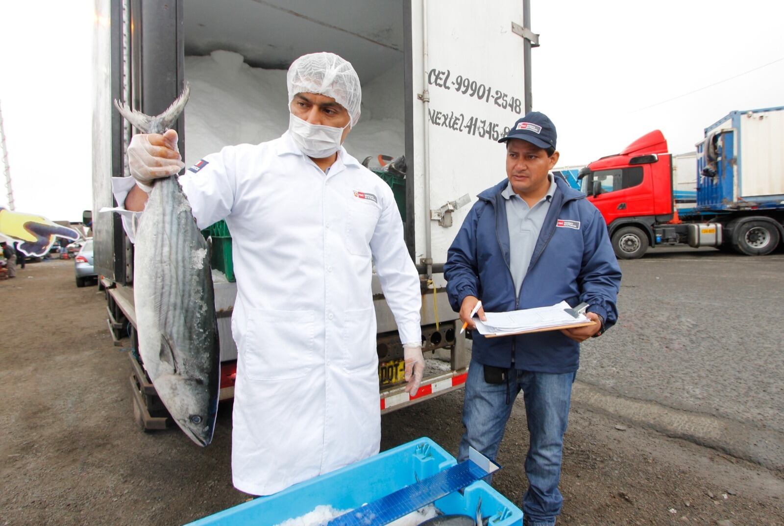 Fiscalización en productos marinos. Foto: difusión.