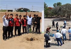 La región Ica se suma a la campaña “Planta tu árbol favorito, Deja tu huella Verde”