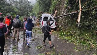 Huánuco: caída de árbol por huaico mata a pasajero de combi