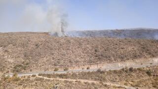 Incendio forestal afecta 4 hectáreas del distrito arequipeño de Polobaya