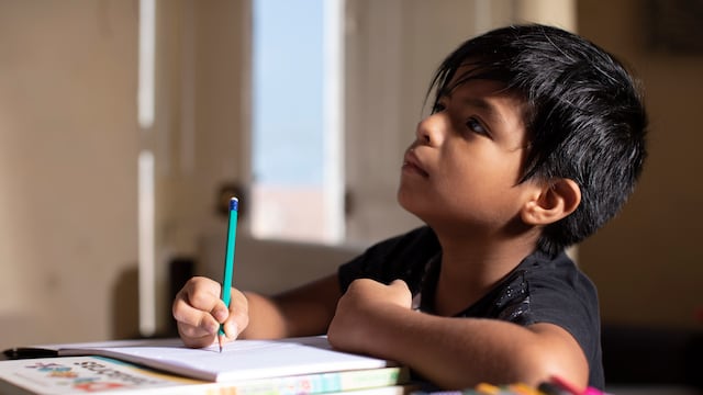 Aprendo en casa HOY 28 de agosto: clases de inicial, primaria y secundaria EN VIVO