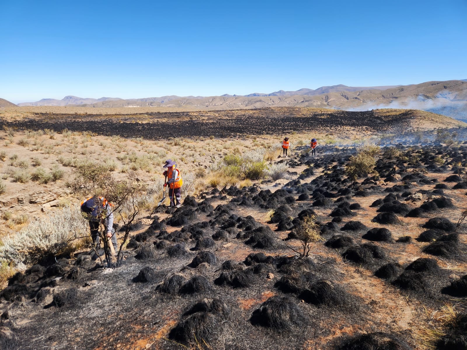 Los daños en la Reserva de Salinas y Aguada Blanca tras el incendio forestal en Yura. Foto: Municipalidad de Yura.