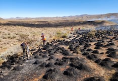 Los daños en la Reserva de Salinas y Aguada Blanca tras el incendio forestal en Yura
