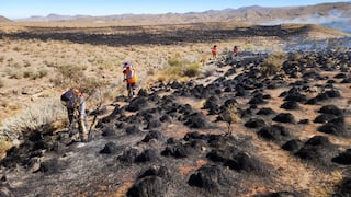 Los daños en la Reserva de Salinas y Aguada Blanca tras el incendio forestal en Yura
