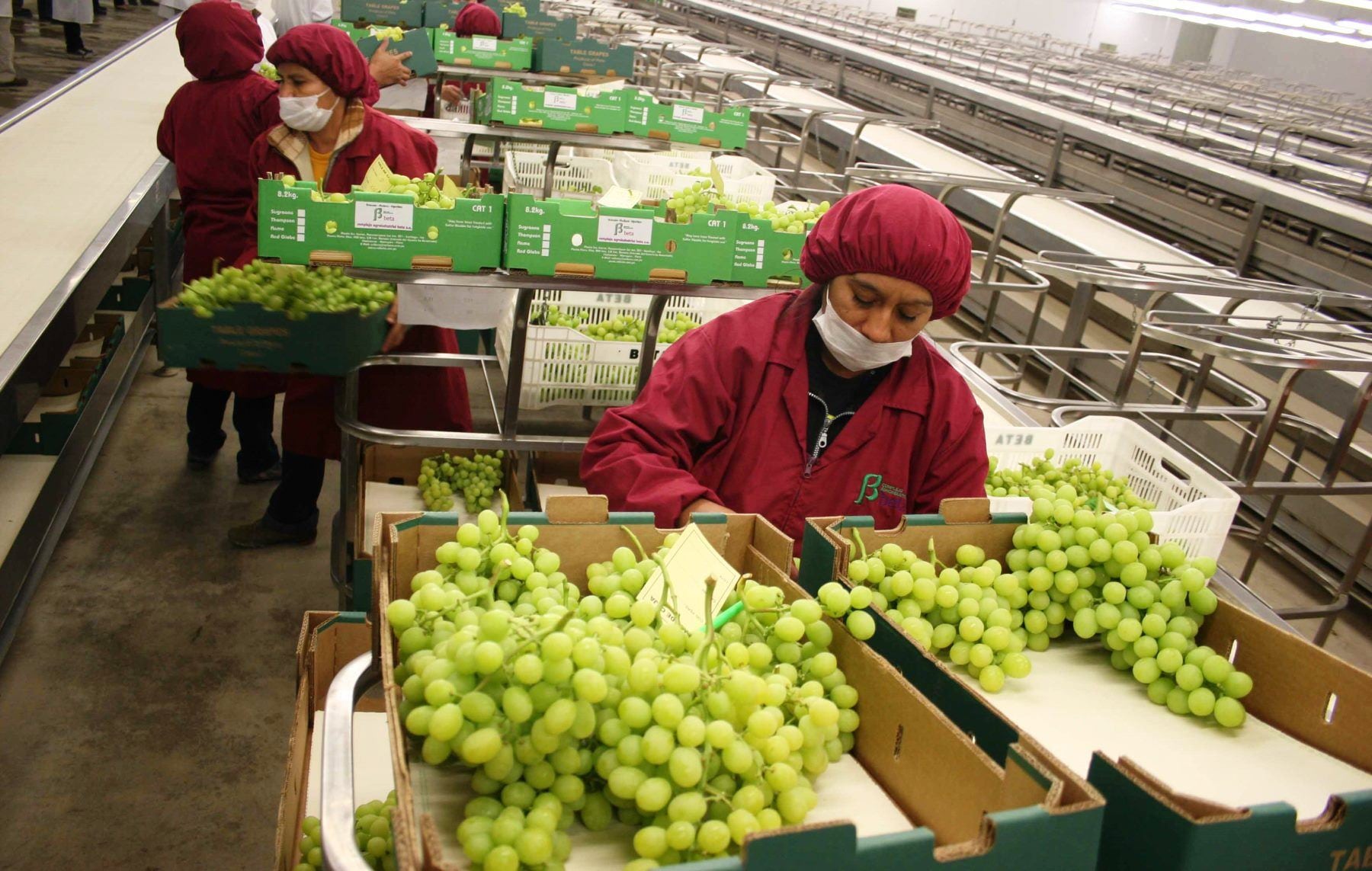 Un fenómeno de El Niño extraordinario pone en riesgo al agro peruano . (Foto: Andina)
