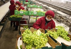 Hay un gran riesgo de pérdida de empleos en la agroindustria