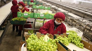 Hay un gran riesgo de pérdida de empleos en la agroindustria