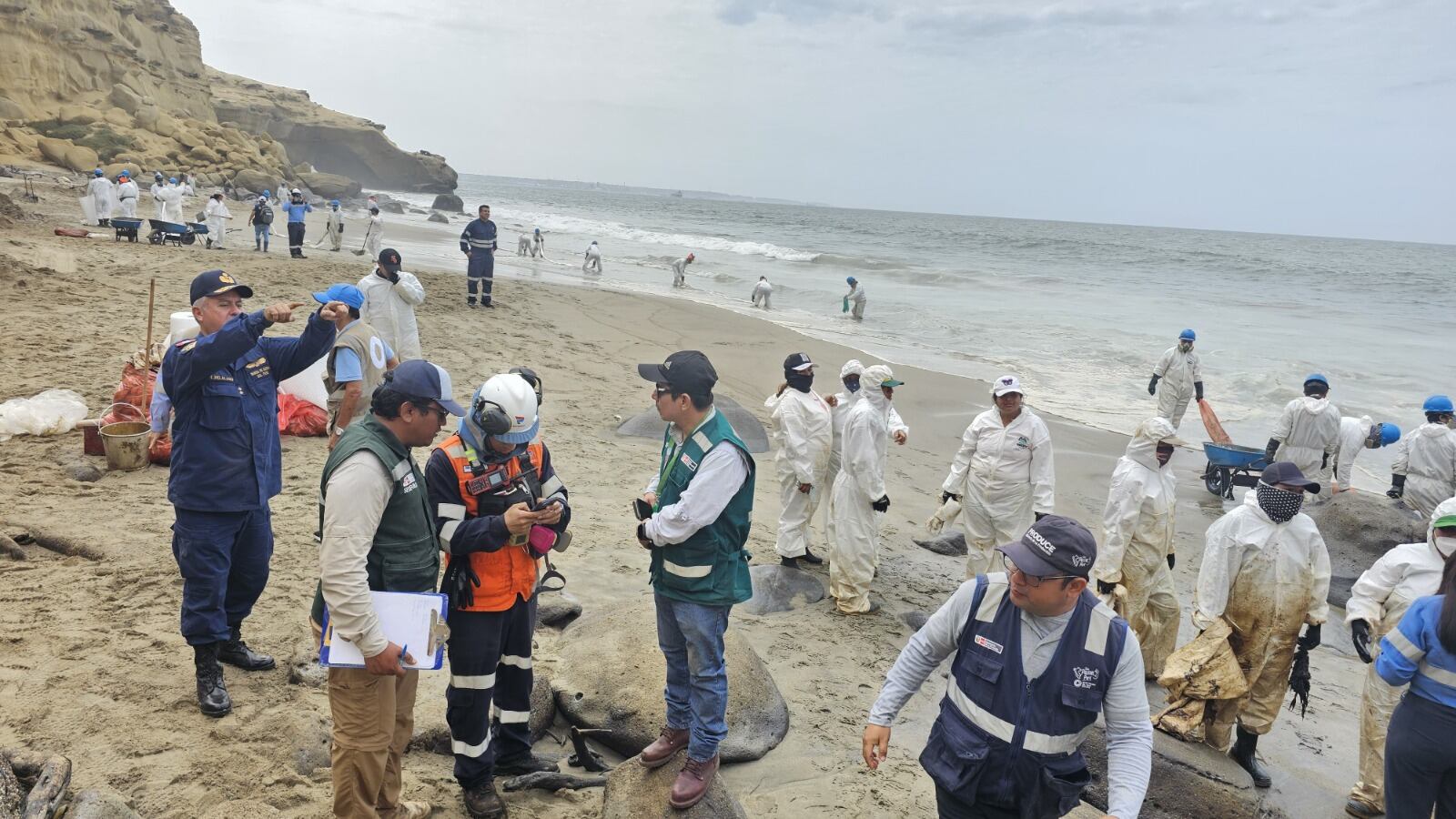 Serfor inicia rescate de animales tras derrame de petróleo en Lobitos, en Talara