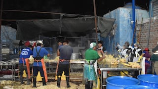 Ica: clausuran peladero clandestino y decomisan 250 kilos de pollo en La Tinguiña