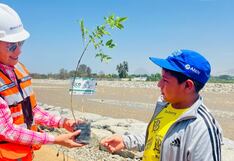 La Libertad: Inicia arborización a lo largo de más de 9 kilómetros del río Moche