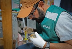 Rescatan 44 aves silvestres que eran transportadas ilegalmente en bus en Huancayo