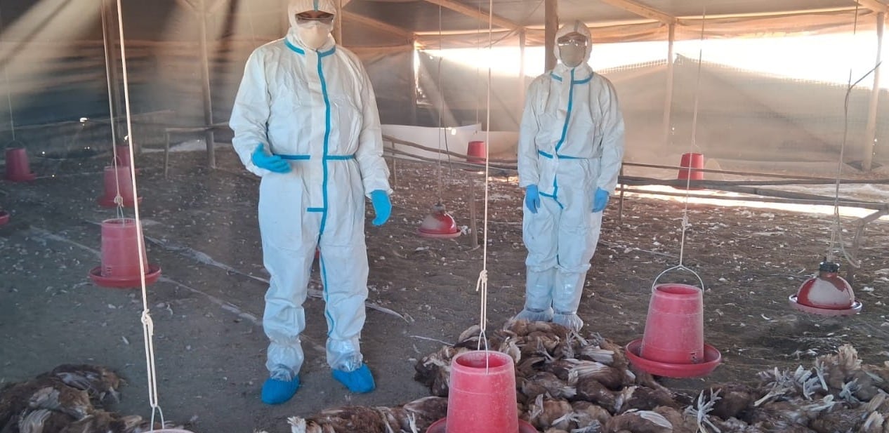 Detectan brote en una granja de La Joya. (Foto: GEC)