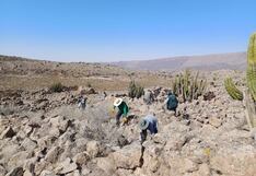 Arequipa: Limpian el sitio arqueológico de Itac que conserva construcciones funerarias