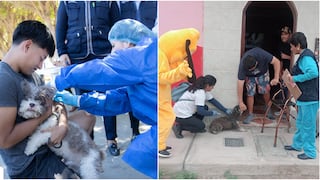Ica busca superar los 127 mil perros vacunados contra la rabia durante campaña VAN CAN 2026