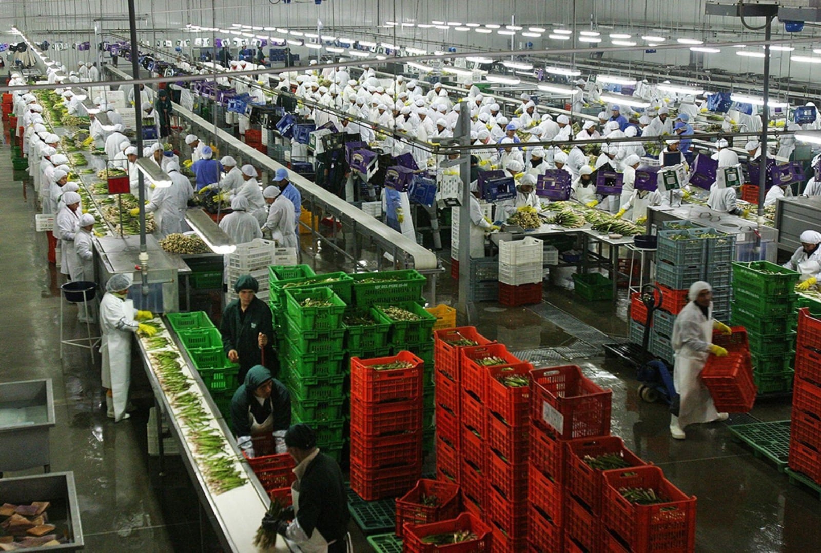 En Trujillo, los trabajadores vulnerables se concentran-principalmente-en los sectores comercio, otros servicios, transporte y comunicaciones, y alojamiento y restaurantes, según ComexPerú.