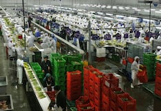 El 40.8% de los trabajadores de Trujillo está en estado de vulnerabilidad