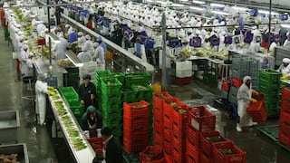 El 40.8% de los trabajadores de Trujillo está en estado de vulnerabilidad