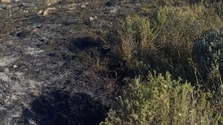 Incendio forestal en Chiguata destruyó 3 hectáreas