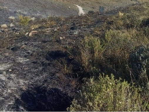 Incendio forestal en Chiguata destruyó 3 hectáreas