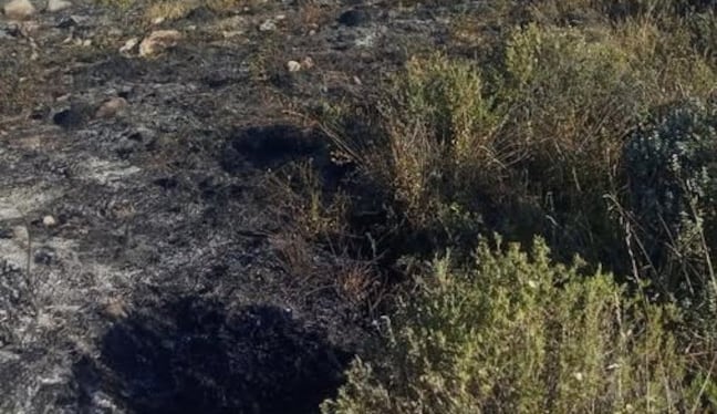Incendio forestal en Chiguata destruyó 3 hectáreas