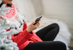 Compras de fin de año: cinco claves para evitar fraudes y robos