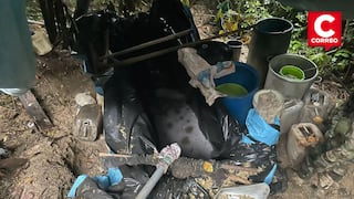 Junín: Ejército del Perú destruyó pozas de maceración de coca en el Vraem