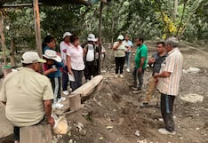 Ica: agricultores de Chavalina fortalecen capacidades en manejo nutricional de pecano y palto