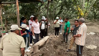 Ica: agricultores de Chavalina fortalecen capacidades en manejo nutricional de pecano y palto