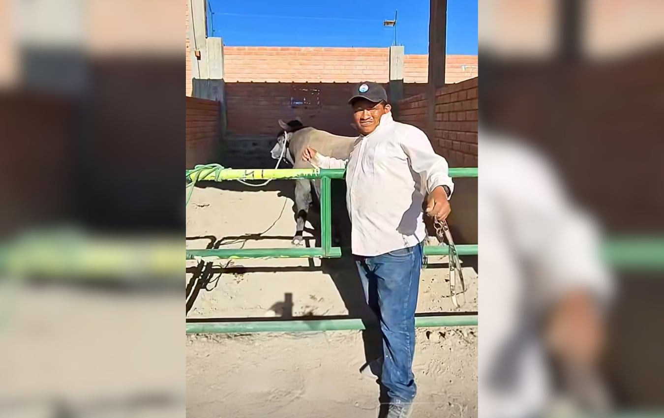 Preparador de toros, Carlos Cayo Mamani, lucha por su vida en el hospital Honorio Delgado de Arequipa tras ser corneado en festival en Socabaya. Foto: Captura de video GEC.