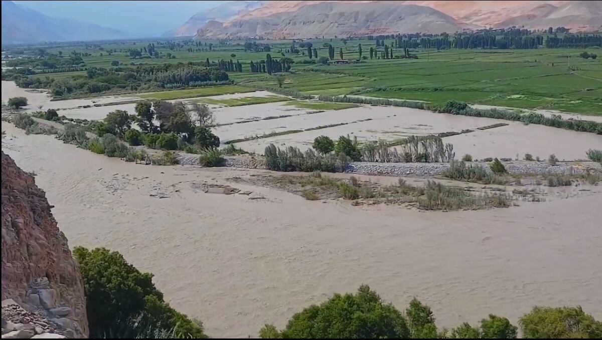 Inundación de las áreas de cultivo cerca al río Majes. Foto: difusión.