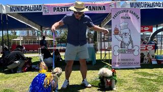 Loncco Can Arequipa: Promueven tenencia responsable de mascotas y vacunación (VIDEO)