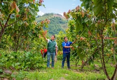 VRAEM: Organizaciones de productores de cacao participan desde hoy en I Feria Internacional