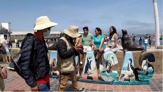 Pisco: Paracas espera a 50 mil turistas por Semana Santa
