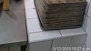 Huánuco: Clausuran conocida panadería por elaborar panes y panetones en condiciones antigénicas