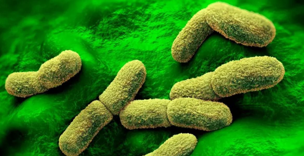 Rusia niega casos de peste neumónica tras muerte de trabajadora de laboratorio en Irkutsk