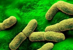Rusia niega casos de peste neumónica tras muerte de trabajadora de laboratorio en Irkutsk