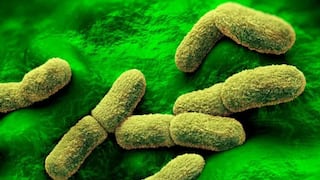 Rusia niega casos de peste neumónica tras muerte de trabajadora de laboratorio en Irkutsk