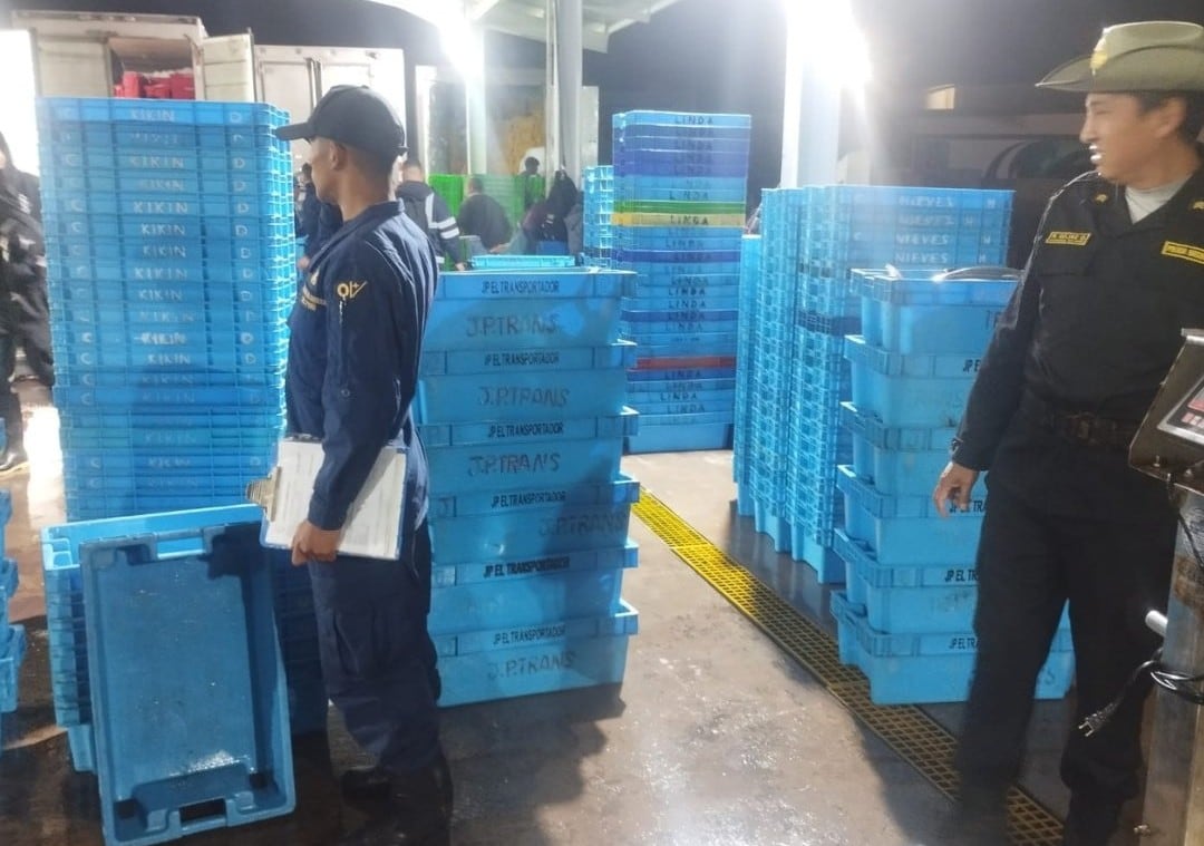 Alertan pesca ilegal del recurso bonito en Atico, Caravelí. Foto: PNP