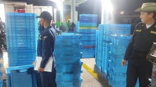 Arequipa: PNP decomisa 249 kilos de bonito por extracción ilegal en Caravelí