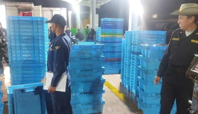 Alertan pesca ilegal del recurso bonito en Atico, Caravelí. Foto: PNP