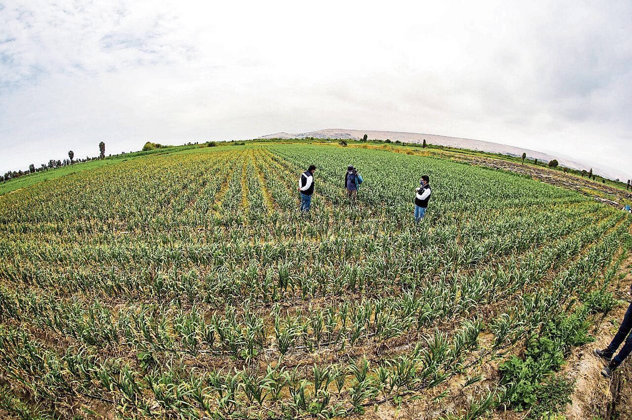 Agentes de la Policía llegaron hasta la zona para las diligencias. (Foto: GEC/Referencial)