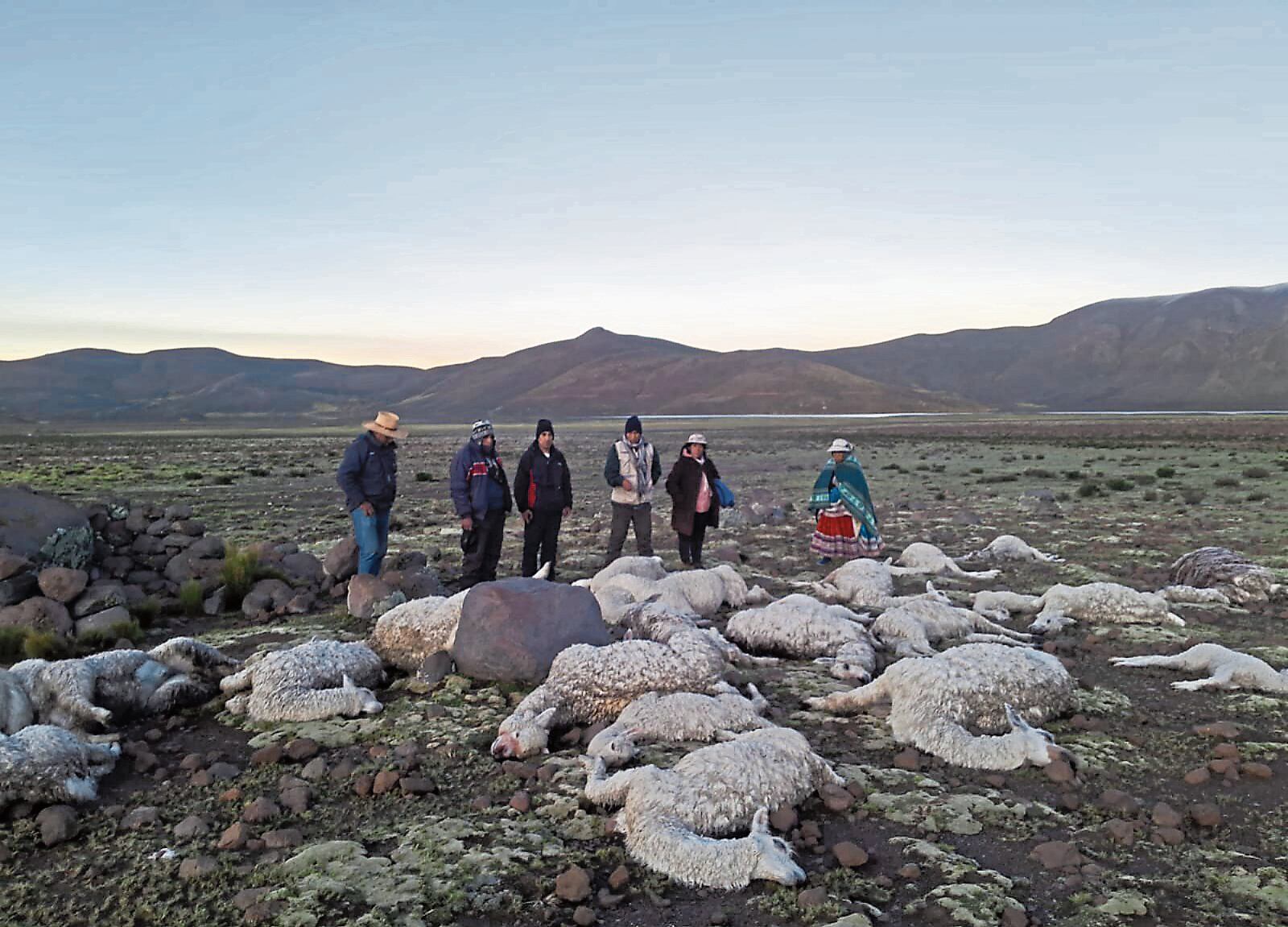 Afectación a pobladores en Caylloma. Foto: GEC.