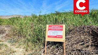 Ica: SUNAT anuncia tercer remate de inmuebles por más de 472 mil soles