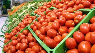 Ica domina la producción de tomate en Perú: aporta el 54% del total nacional