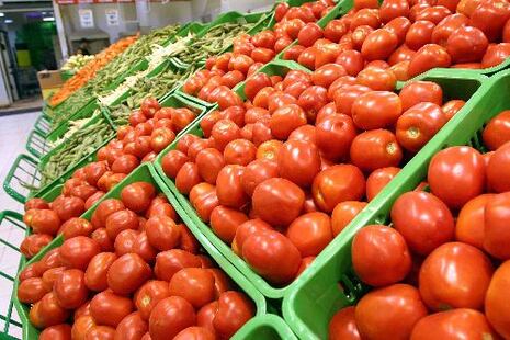 Ica domina la producción de tomate en Perú: aporta el 54% del total nacional