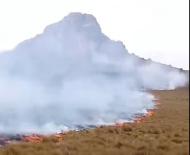 Las llamas pueden desencadenar daños ambientales y económicos. Incidente se registra en San Mateo de Penachí.