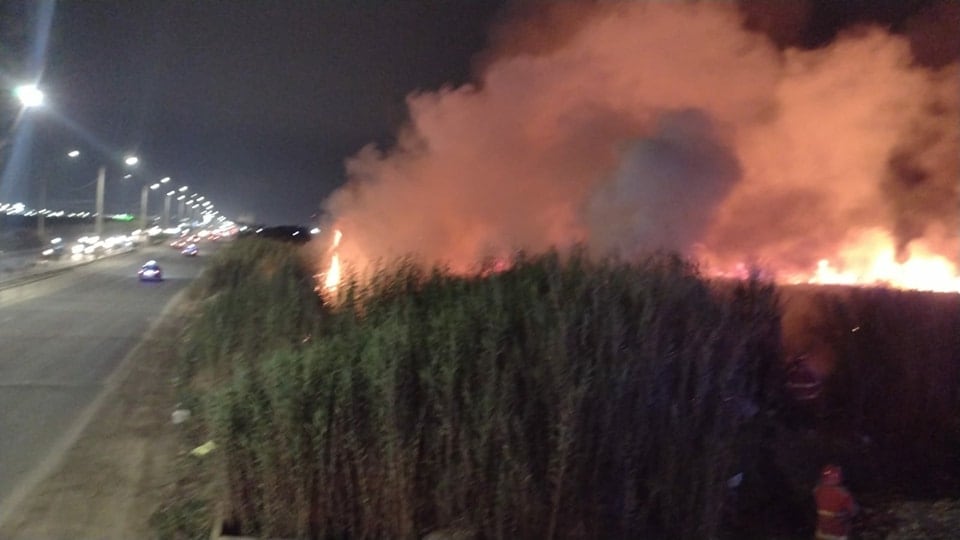 Incendio ocurrió a pocos metros de la avenida José Pardo, una de las principales vías de la ciudad.