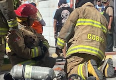 Arequipa: Bomberos y vecinos rescatan a perro atrapado en incendio en edificio (VIDEO)